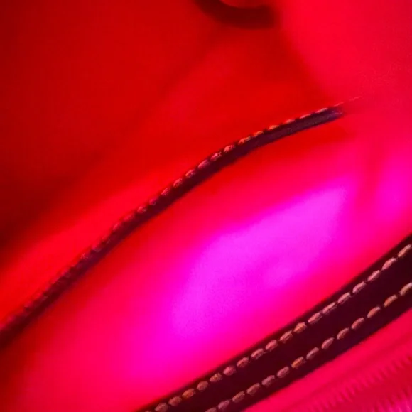 Dooney & Bourke Purse Disney Cats Passholder - Picture 5 of 8